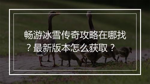 畅游冰雪传奇攻略在哪找？最新版本怎么获取？