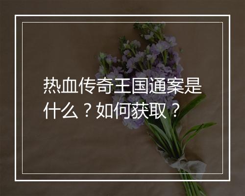 热血传奇王国通案是什么？如何获取？
