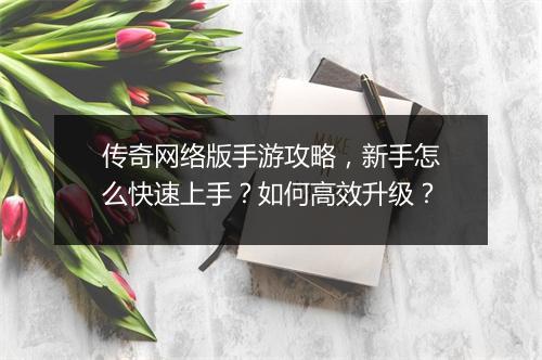 传奇网络版手游攻略，新手怎么快速上手？如何高效升级？