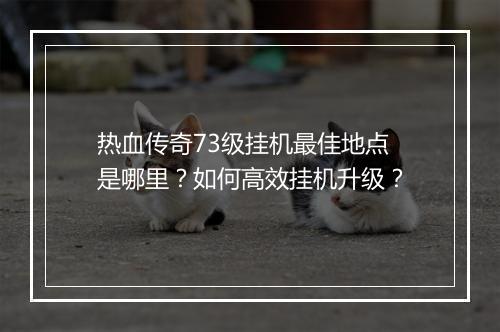 热血传奇73级挂机最佳地点是哪里？如何高效挂机升级？
