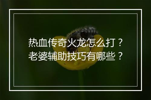 热血传奇火龙怎么打？老婆辅助技巧有哪些？
