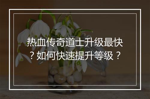 热血传奇道士升级最快？如何快速提升等级？