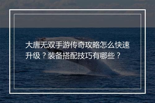 大唐无双手游传奇攻略怎么快速升级？装备搭配技巧有哪些？