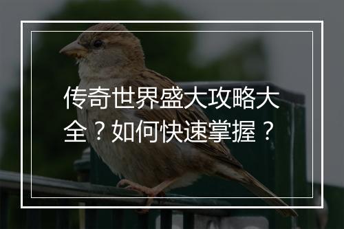 传奇世界盛大攻略大全？如何快速掌握？