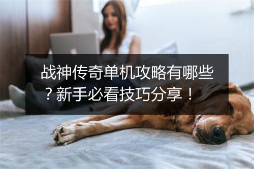 战神传奇单机攻略有哪些？新手必看技巧分享！