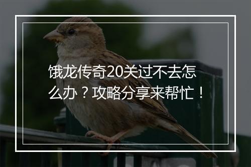 饿龙传奇20关过不去怎么办？攻略分享来帮忙！