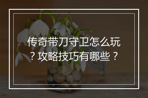 传奇带刀守卫怎么玩？攻略技巧有哪些？