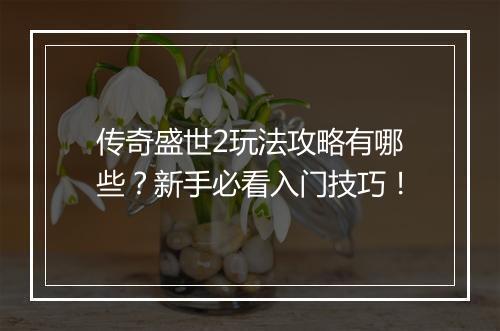 传奇盛世2玩法攻略有哪些？新手必看入门技巧！
