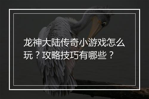 龙神大陆传奇小游戏怎么玩？攻略技巧有哪些？