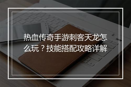 热血传奇手游刺客天龙怎么玩？技能搭配攻略详解