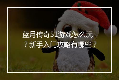 蓝月传奇51游戏怎么玩？新手入门攻略有哪些？