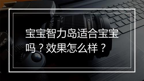 宝宝智力岛适合宝宝吗？效果怎么样？