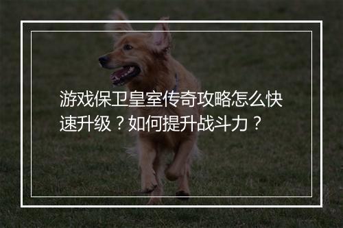 游戏保卫皇室传奇攻略怎么快速升级？如何提升战斗力？