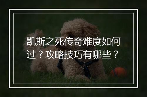 凯斯之死传奇难度如何过？攻略技巧有哪些？