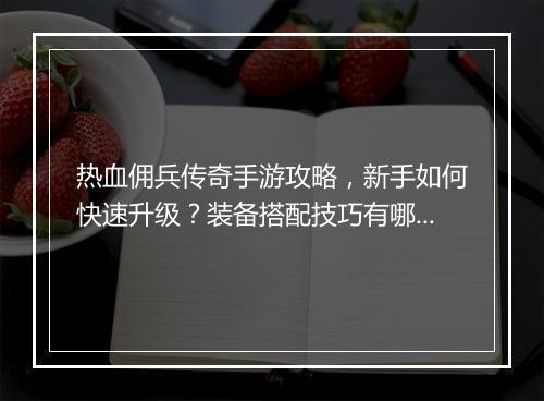 热血佣兵传奇手游攻略，新手如何快速升级？装备搭配技巧有哪些？