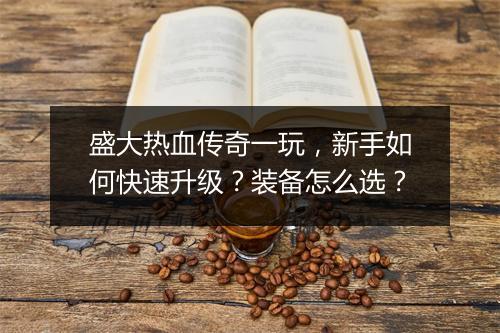 盛大热血传奇一玩，新手如何快速升级？装备怎么选？