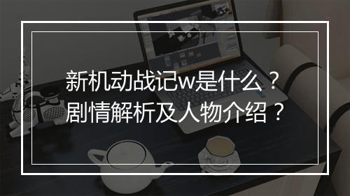 新机动战记w是什么？剧情解析及人物介绍？