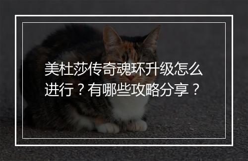 美杜莎传奇魂环升级怎么进行？有哪些攻略分享？