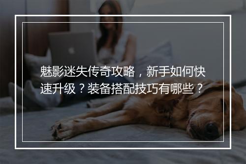 魅影迷失传奇攻略，新手如何快速升级？装备搭配技巧有哪些？