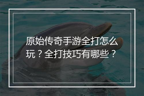 原始传奇手游全打怎么玩？全打技巧有哪些？