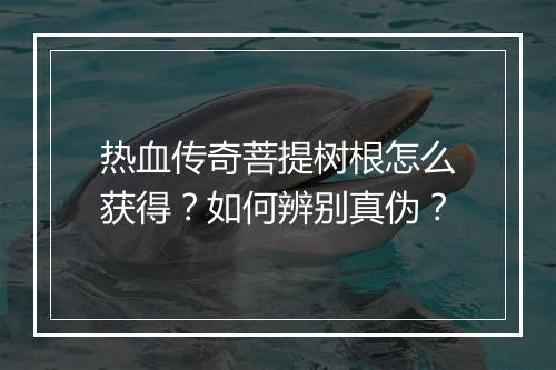 热血传奇菩提树根怎么获得？如何辨别真伪？