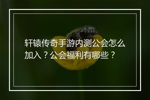 轩辕传奇手游内测公会怎么加入？公会福利有哪些？