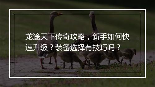 龙途天下传奇攻略，新手如何快速升级？装备选择有技巧吗？