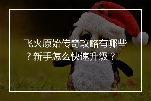 飞火原始传奇攻略有哪些？新手怎么快速升级？
