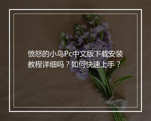 愤怒的小鸟Pc中文版下载安装教程详细吗？如何快速上手？