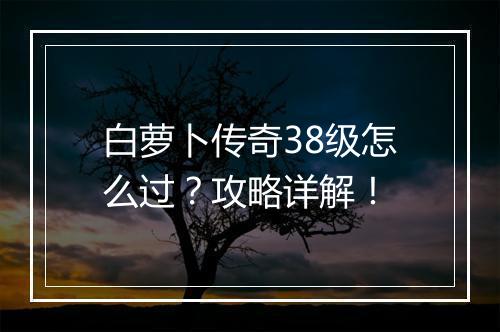 白萝卜传奇38级怎么过？攻略详解！