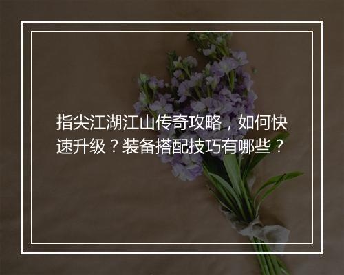 指尖江湖江山传奇攻略，如何快速升级？装备搭配技巧有哪些？
