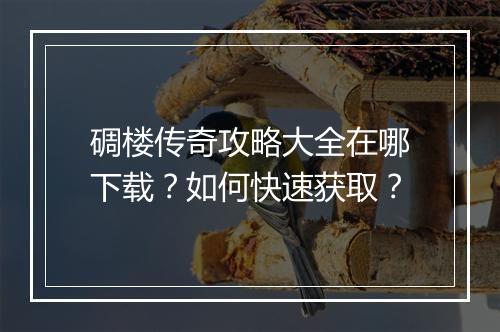 碉楼传奇攻略大全在哪下载？如何快速获取？