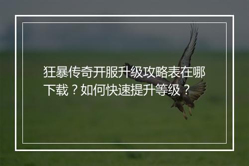 狂暴传奇开服升级攻略表在哪下载？如何快速提升等级？