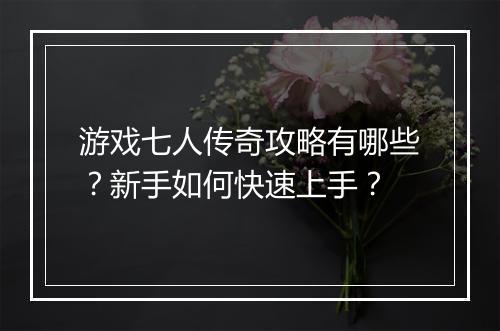 游戏七人传奇攻略有哪些？新手如何快速上手？