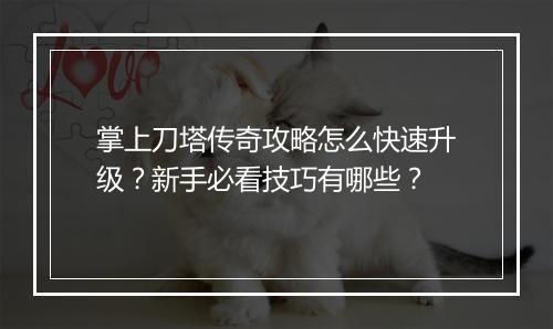 掌上刀塔传奇攻略怎么快速升级？新手必看技巧有哪些？