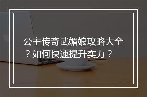 公主传奇武媚娘攻略大全？如何快速提升实力？