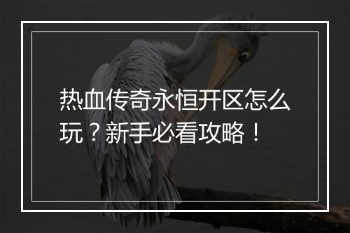 热血传奇永恒开区怎么玩？新手必看攻略！