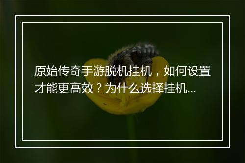 原始传奇手游脱机挂机，如何设置才能更高效？为什么选择挂机？