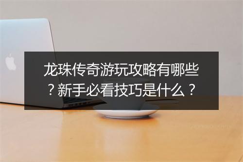 龙珠传奇游玩攻略有哪些？新手必看技巧是什么？