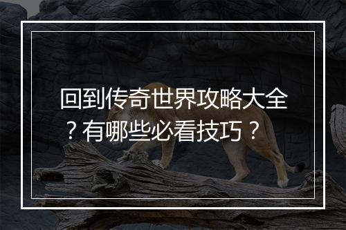 回到传奇世界攻略大全？有哪些必看技巧？