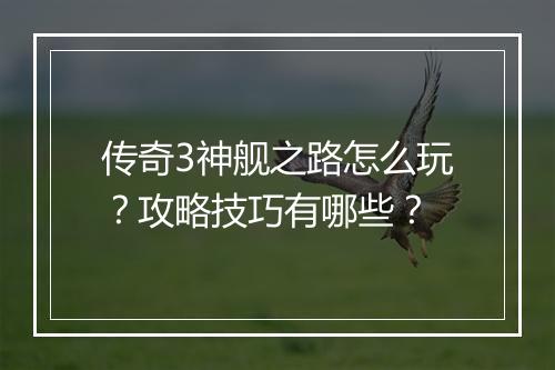 传奇3神舰之路怎么玩？攻略技巧有哪些？