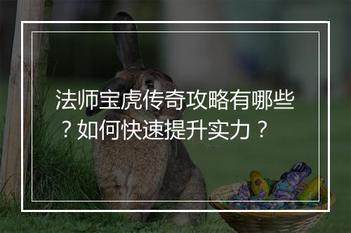 法师宝虎传奇攻略有哪些？如何快速提升实力？