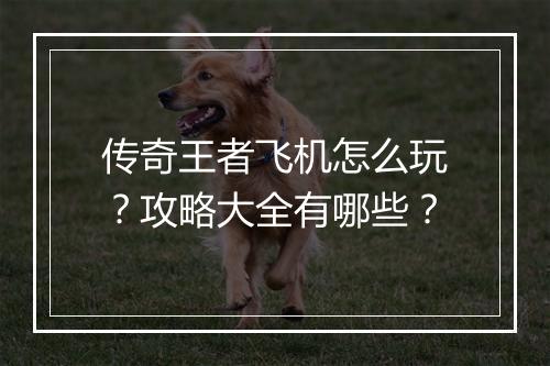 传奇王者飞机怎么玩？攻略大全有哪些？