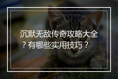 沉默无敌传奇攻略大全？有哪些实用技巧？