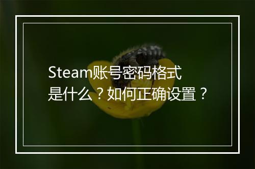 Steam账号密码格式是什么？如何正确设置？