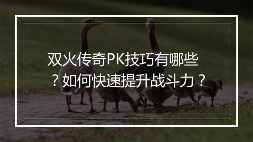 双火传奇PK技巧有哪些？如何快速提升战斗力？