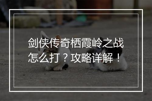 剑侠传奇栖霞岭之战怎么打？攻略详解！