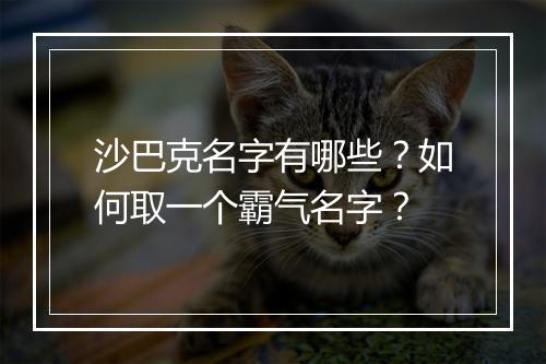 沙巴克名字有哪些？如何取一个霸气名字？