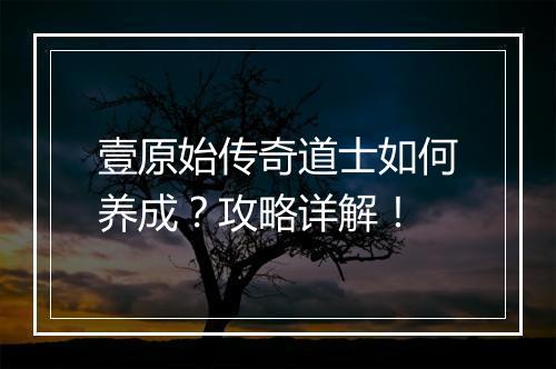 壹原始传奇道士如何养成？攻略详解！