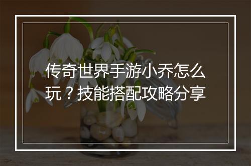 传奇世界手游小乔怎么玩？技能搭配攻略分享